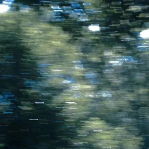 日本美女女优裸体视频
