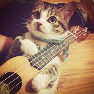 日本美女女优裸体视频
